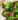 11_thuc_pham_giup_tang_cuong_he_mien_dich_17
