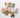6_thuc_pham_can_tranh_an_truoc_khi_di_ngu_3