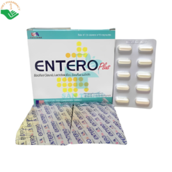 Men vi sinh Entero Plus bổ sung lợi khuẩn (10 vỉ x 10 viên)