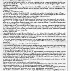 An Nữ Đan - hỗ trợ giảm u xơ tử cung