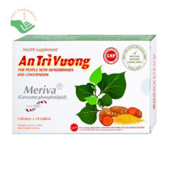 An Trĩ Vương