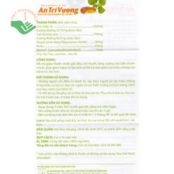 An Trĩ Vương