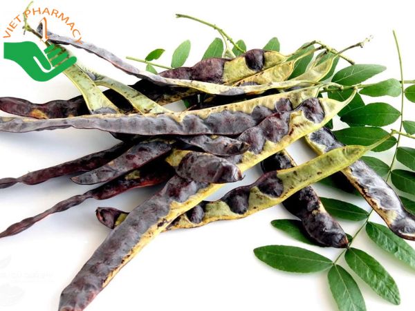 Chữa tóc bạc sớm bằng bồ kết là bài thuốc dân gian được nhiều người lựa chọn