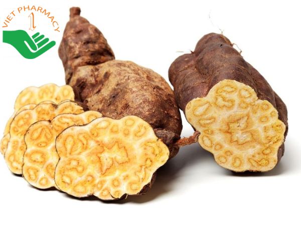 Bài thuốc dân gian chữa tóc bạc sớm từ hà thủ ô rất hiệu quả
