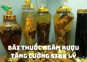 bai-thuoc-ngam-ruou-tri-yeu-sinh-ly