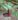bai_thuoc_tri_roi_loan_lipid_mau_3