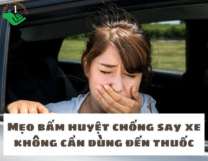 bam-huyet-chong-say-xe