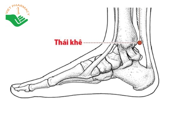 Bấm huyệt Thái Khê chữa xuất tinh sớm