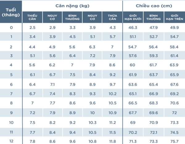 Bảng cân nặng và chiều cao chuẩn của trẻ sơ sinh nam từ 0 - 12 tháng tuổi