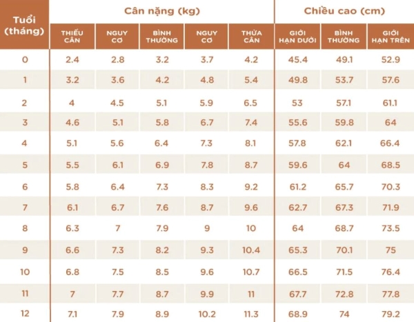 Bảng cân nặng và chiều cao chuẩn của trẻ sơ sinh nữ từ 0 - 12 tháng tuổi