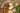 bat-mi-top-12-loai-thuc-pham-giau-vitamin-e