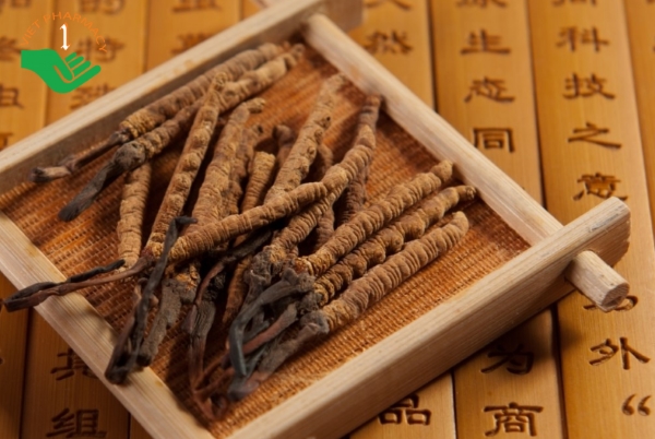 các mẹ được khuyến khích sử dụng đông trùng 3 tháng giữa thai kỳ