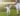 be-bi-sot-nhung-van-choi-binh-thuong-2