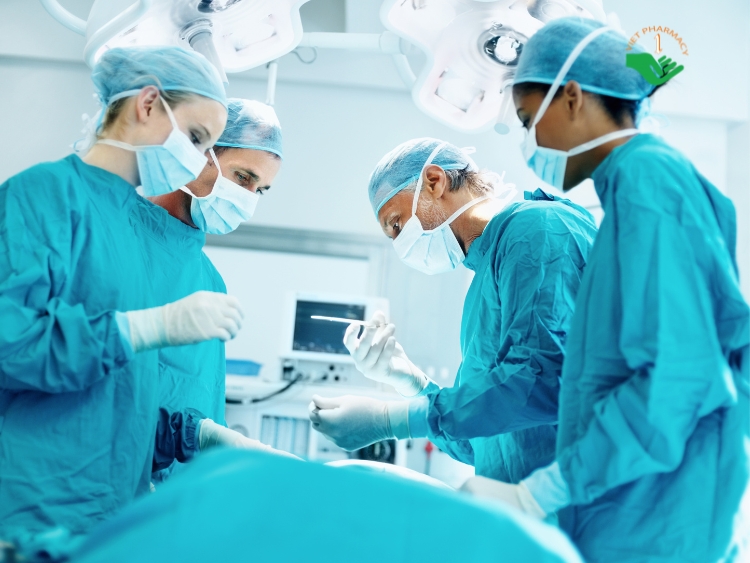 Bệnh nhân ngay trước và sau phẫu thuật không dùng nấm lim xanh