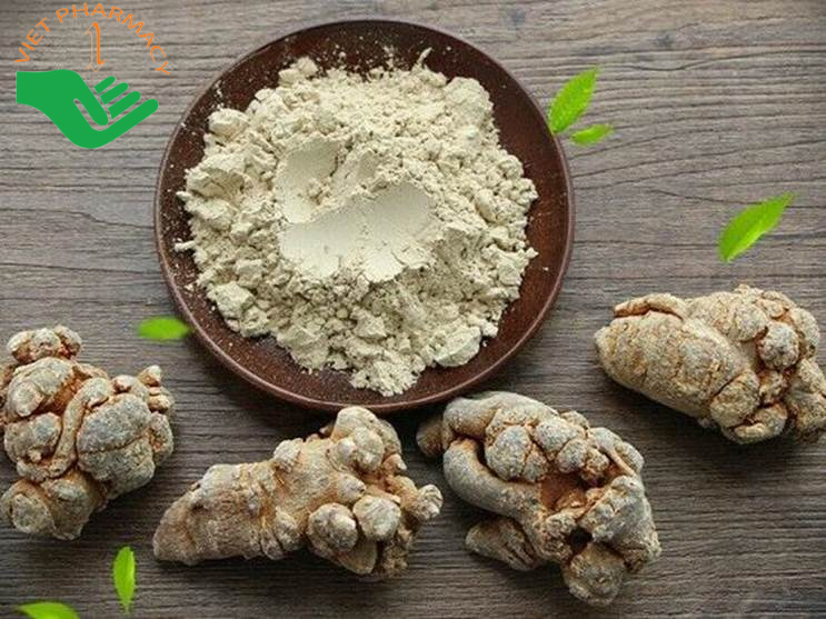Nghiền củ tam thất thành bột để dùng