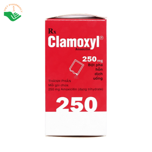Bột pha hỗn dịch uống Clamoxyl 250mg GSK điều trị nhiễm khuẩn (12 gói)