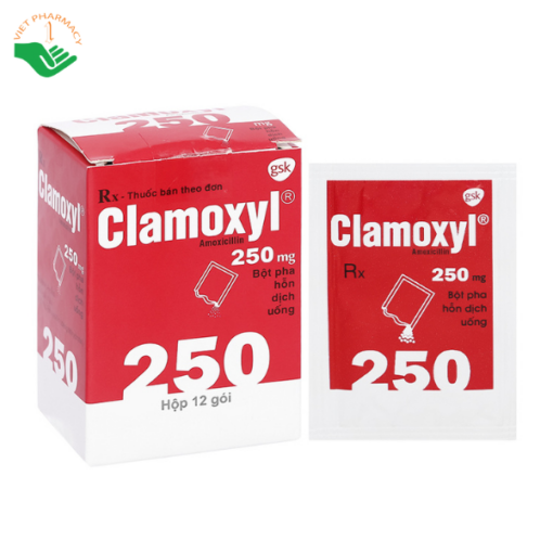 Bột pha hỗn dịch uống Clamoxyl 250mg GSK điều trị nhiễm khuẩn (12 gói)