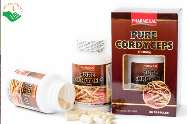 Đông trùng hạ thảo Pure Cordyceps