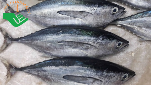 Cá ngừ giàu vitamin B6