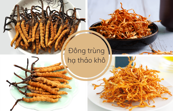 Đông trùng hạ thảo khô