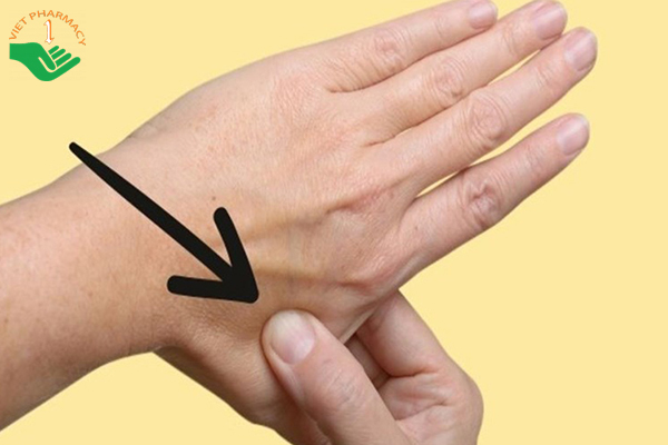 Cách bấm huyệt chống say xe