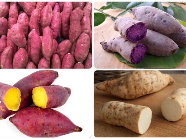 Cách chọn khoai lang giảm cân hiệu quả