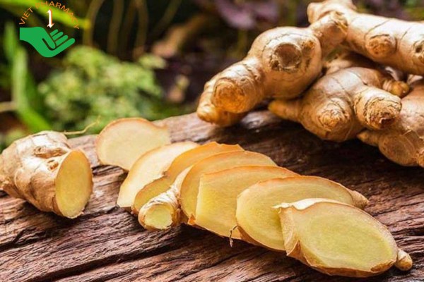 Gừng có khả năng kháng viêm và có tính nhiệt