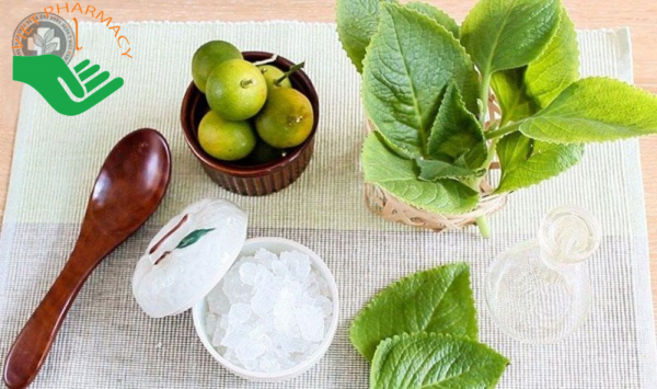 Cách chữa ho, viêm họng bằng húng chanh chưng đường phèn