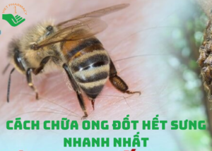 cach-chua-ong-dot-het-sung-nhanh-nhat