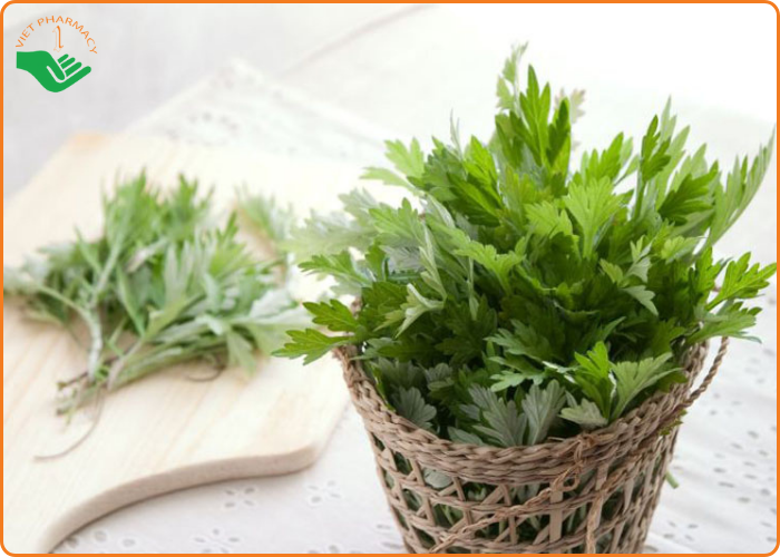 Cách chữa viêm phụ khoa cho bà bầu tại nhà bằng lá ngải cứu