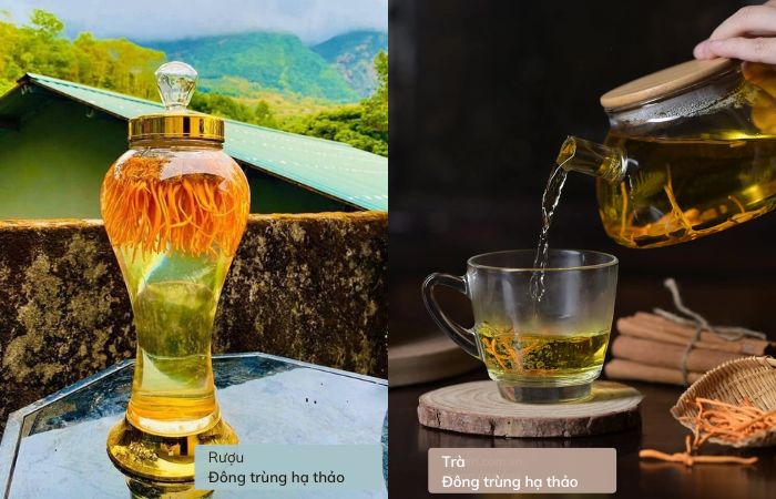 Trà đông trùng hạ thảo và rượu đông trùng hạ thảo