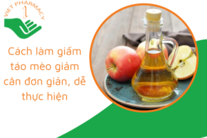 cach-lam-giam-tao-meo-giam-can-don-gian-de-thuc-hien