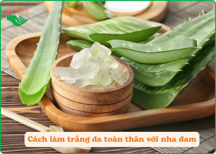 Các dưỡng chất trong nha đam giúp làm mịn da và dưỡng trắng từ sâu bên trong