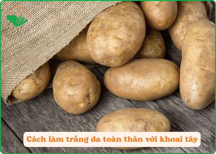 Khoai tây nghiền kết hợp với sữa chua giúp bật tông da và dưỡng ẩm