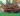 cach-nau-nam-linh-chi-thumb