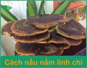 cach-nau-nam-linh-chi-thumb