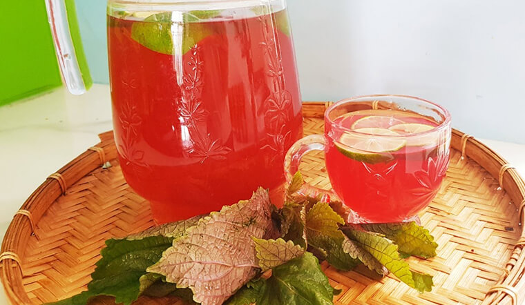 Cách nấu nước lá tía tô đơn gian, dễ làm