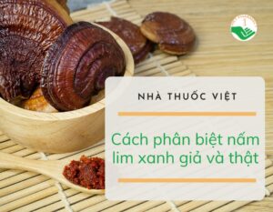 cach-phan-biet-nam-lim-xanh-gia-va-that