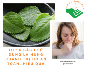 cach-su-dung-la-hung-chanh-tri-ho-an-toan-hieu-qua