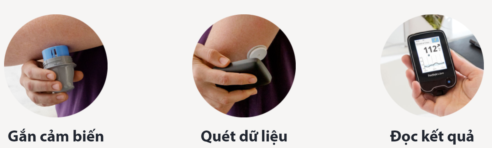 Hướng dẫn cách sử dụng máy đo đường huyết cảm biến tự động Freestyle Libre