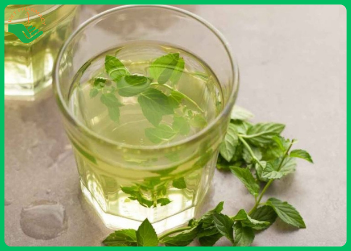 Lá Bạc hà có tác dụng giảm ho nhanh và tiêu đờm