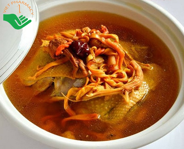 Canh gà đông trùng hạ thảo cho người huyết áp cao