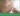 cay-que-tranh-thai-bi-rong-kinh-thumb