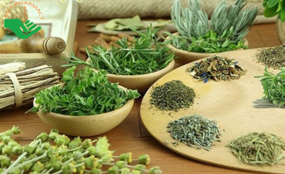 Cây thuốc nam chữa bệnh tiểu đường