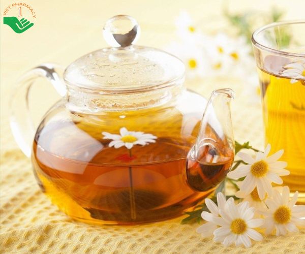 Cây hoa cúc có vị ngọt, tính mát, hỗ trợ giải độc gan hiệu quả