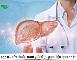 cay-thuoc-nam-giai-doc-gan-thumbnail