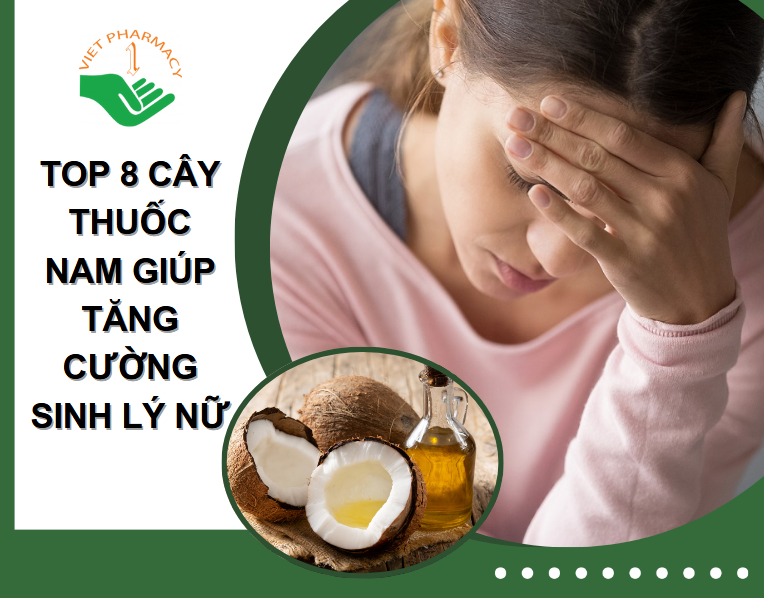 BÀI THUỐC ĐÔNG Y TỪ DƯỢC LIỆU TỰ NHIÊN GIÚP TĂNG CƯỜNG SINH LÝ NAM GIỚI