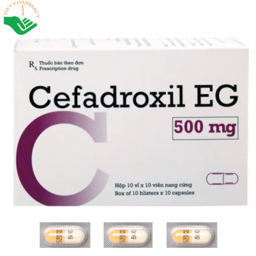 Thuốc Cefadroxil EG 500mg điều trị ho khan, ho có đờm kéo dài (10 vỉ x 10 viên)