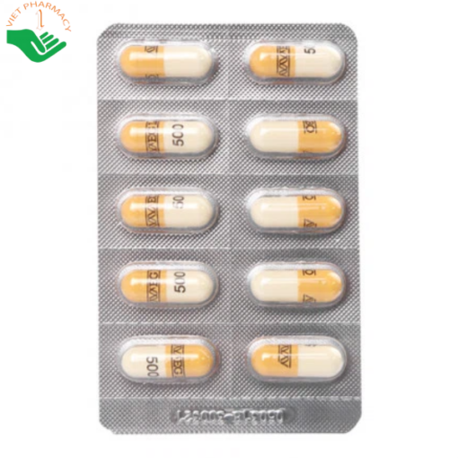 Thuốc Cefadroxil EG 500mg điều trị ho khan, ho có đờm kéo dài (10 vỉ x 10 viên)