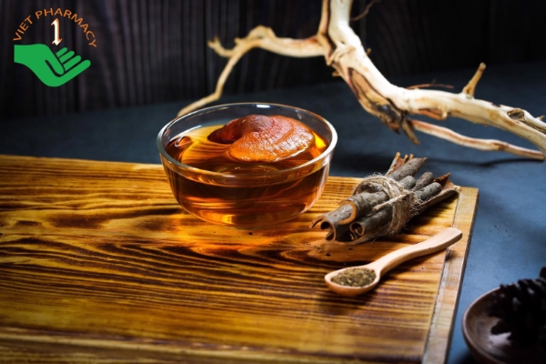 Pha trà nấm linh chi uống hằng ngày